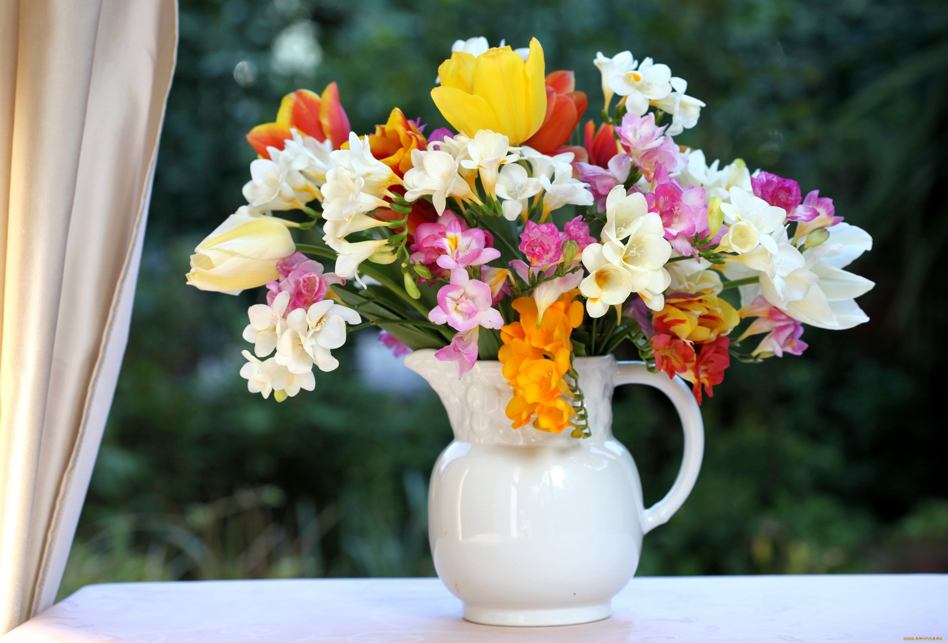 Flower bouquet. Весенний букет фрезии. Фрезия цветок букет. Фрезия и тюльпаны букет. Фрезия и тюльпаны.